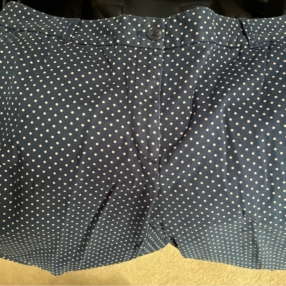 Talbots Navy and White Polka Dot Chino Pants 14 - Picture 2 of 4